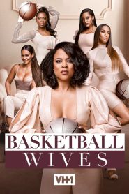 Basketball Wives Season 1